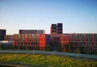 上海附着力高酞青绿