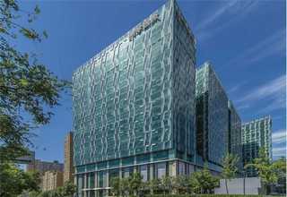 金山小型锦鲤池养护费用是多少